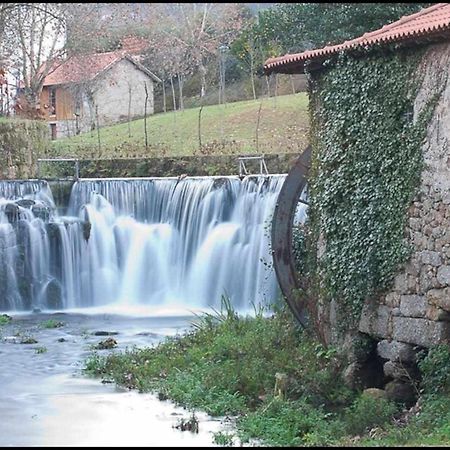 Lamelas  Casa De Barreiros Camelias De Bastoヴィラ エクステリア 写真