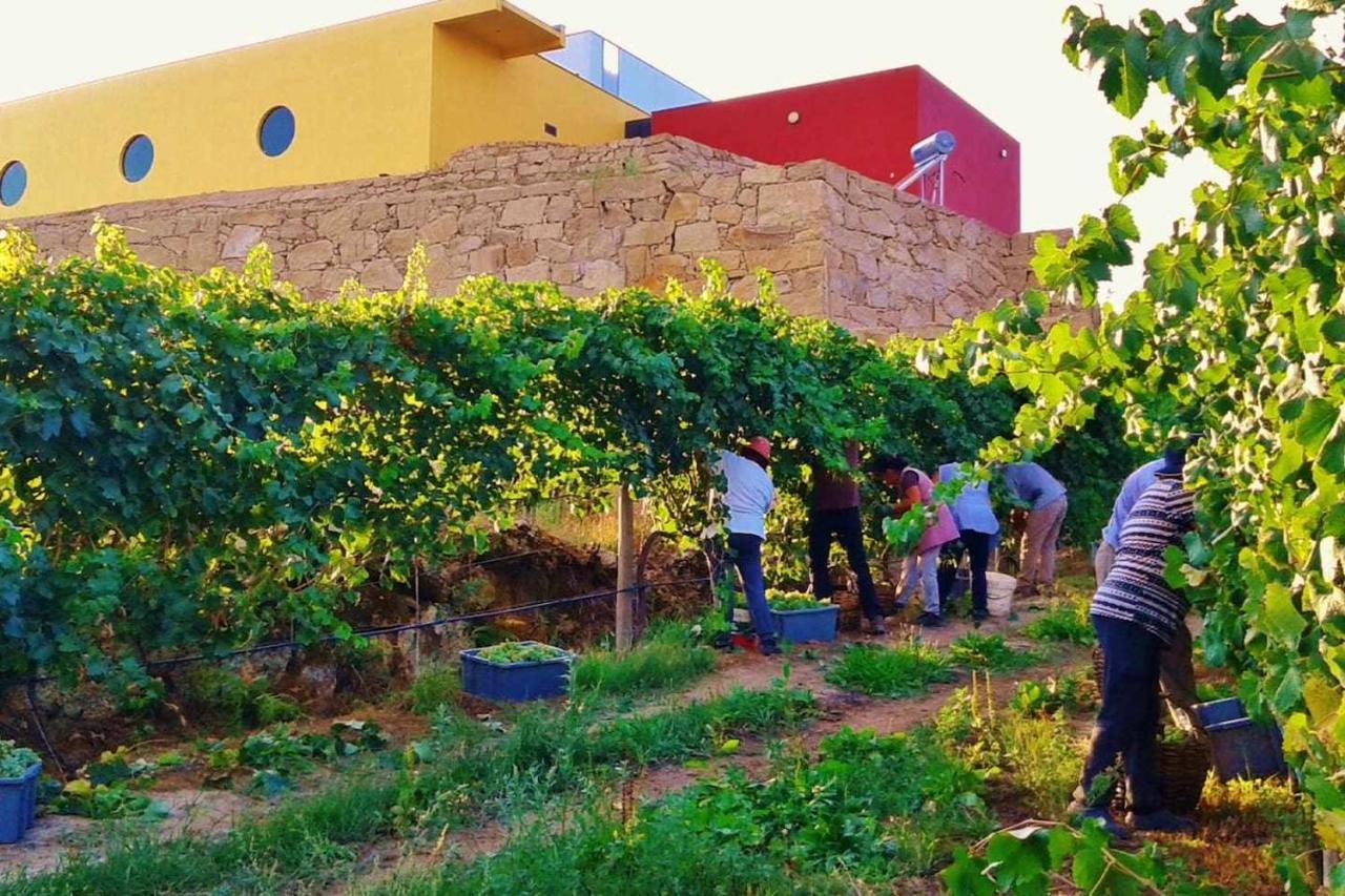 Lamelas  Casa De Barreiros Camelias De Bastoヴィラ エクステリア 写真