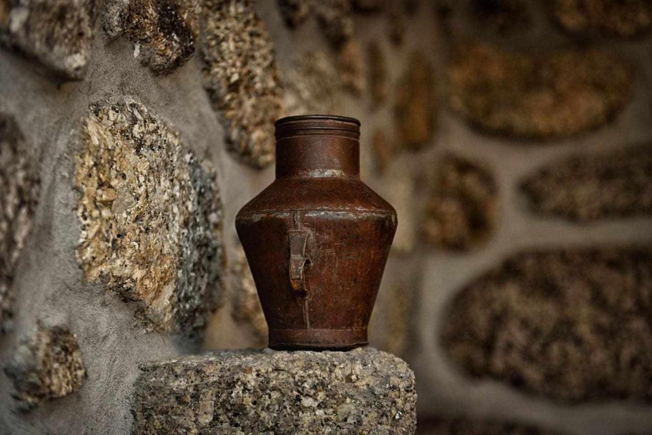 Lamelas  Casa De Barreiros Camelias De Bastoヴィラ エクステリア 写真