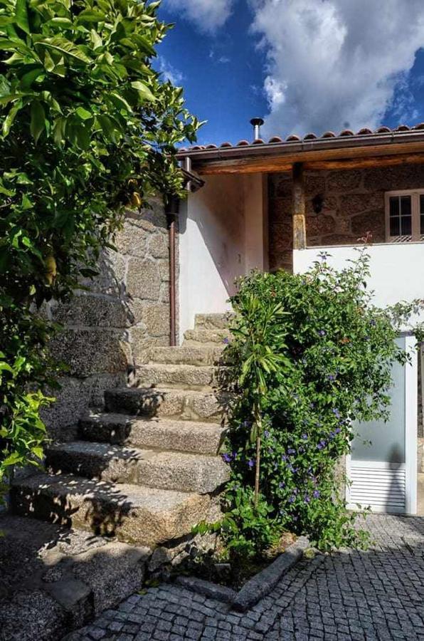 Lamelas  Casa De Barreiros Camelias De Bastoヴィラ エクステリア 写真